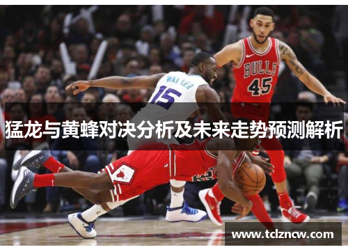 猛龙与黄蜂对决分析及未来走势预测解析
